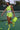 Serena....Fish Net Tennis Short Set May Pink Clothing